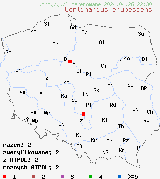 znaleziska Cortinarius erubescens na terenie Polski