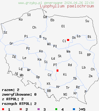 znaleziska Lyophyllum paelochroum na terenie Polski