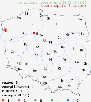 znaleziska Coprinopsis trispora (czernidłak trójzarodnikowy) na terenie Polski