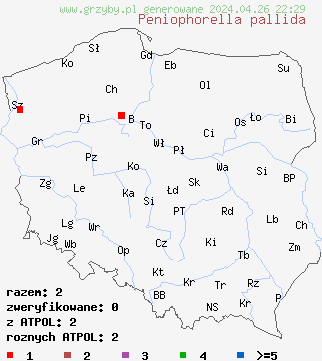 znaleziska Peniophorella pallida na terenie Polski