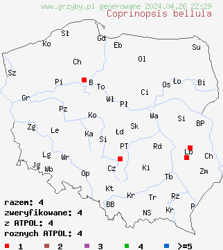 znaleziska Coprinopsis bellula na terenie Polski