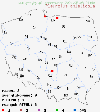 znaleziska Pleurotus abieticola na terenie Polski