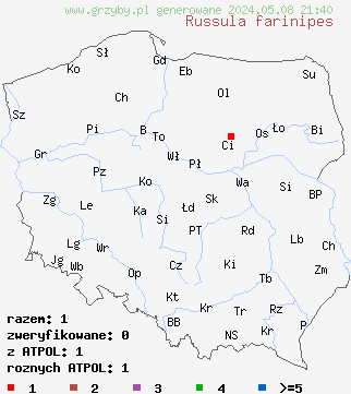 znaleziska Russula farinipes (gołąbek mączysty) na terenie Polski