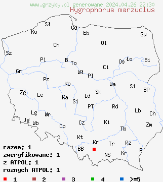 znaleziska Hygrophorus marzuolus na terenie Polski