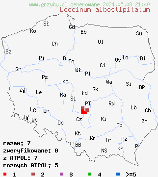znaleziska Leccinum albostipitatum (koźlarz białotrzonowy) na terenie Polski