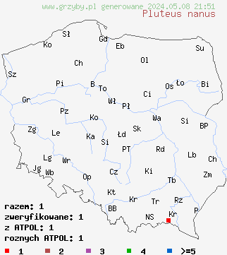 znaleziska Pluteus nanus (drobnołuszczak malutki) na terenie Polski