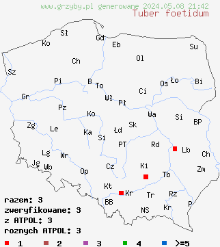 znaleziska Tuber foetidum na terenie Polski