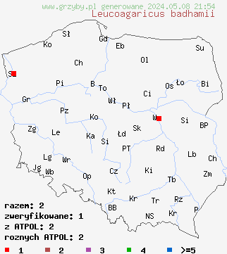 znaleziska Leucoagaricus badhamii (pieczareczka czerwieniejąca) na terenie Polski