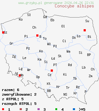 znaleziska Conocybe albipes na terenie Polski