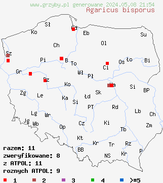 znaleziska Agaricus bisporus na terenie Polski
