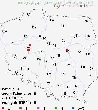 znaleziska Agaricus lanipes na terenie Polski