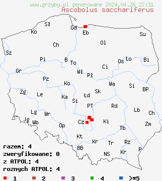 znaleziska Ascobolus sacchariferus na terenie Polski