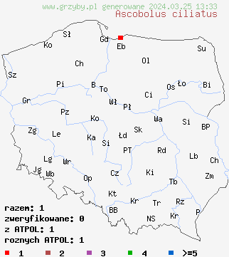 znaleziska Ascobolus ciliatus na terenie Polski