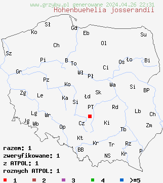 znaleziska Hohenbuehelia josserandii na terenie Polski