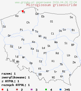 znaleziska Microglossum griseoviride na terenie Polski