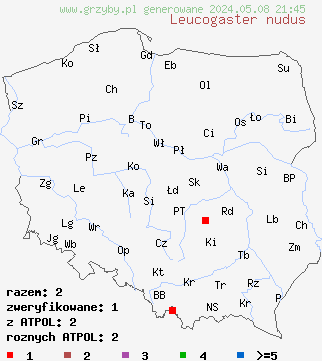 znaleziska Leucogaster nudus na terenie Polski