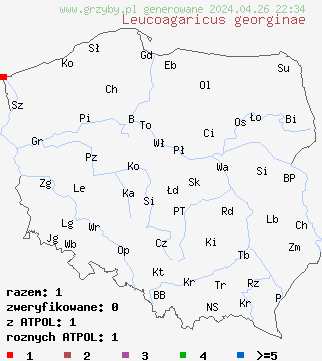 znaleziska Leucoagaricus georginae na terenie Polski
