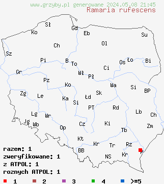 znaleziska Ramaria rufescens na terenie Polski