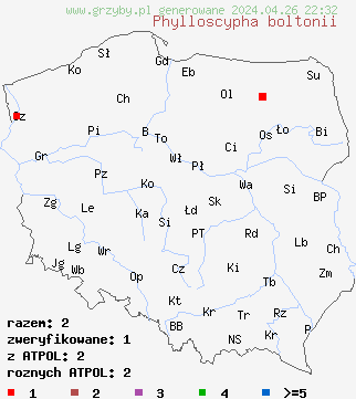znaleziska Phylloscypha boltonii na terenie Polski