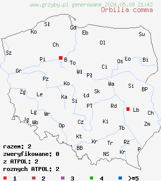 znaleziska Orbilia comma na terenie Polski