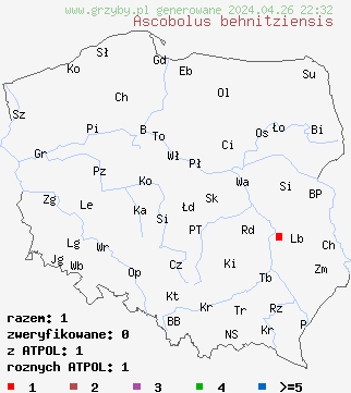 znaleziska Ascobolus behnitziensis na terenie Polski