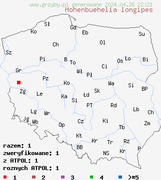 znaleziska Hohenbuehelia longipes na terenie Polski