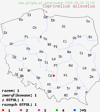 znaleziska Coprinellus allovelus na terenie Polski