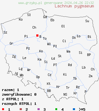 znaleziska Lachnum pygmaeum na terenie Polski