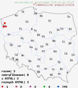 znaleziska Flammulina populicola na terenie Polski