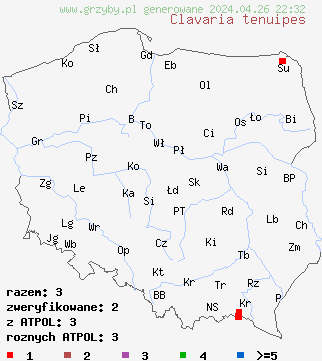znaleziska Clavaria tenuipes na terenie Polski