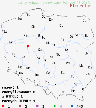 znaleziska Pleurotus na terenie Polski