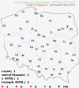 znaleziska Coprinopsis pseudoradiata na terenie Polski