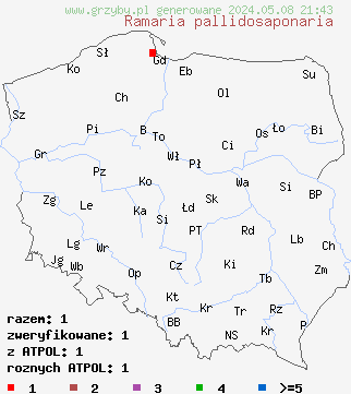 znaleziska Ramaria pallidosaponaria na terenie Polski