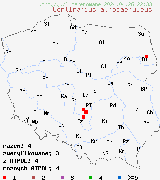 znaleziska Cortinarius atrocaeruleus na terenie Polski