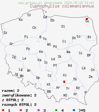 znaleziska Cuphophyllus colemaniannus na terenie Polski