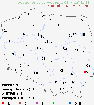 znaleziska Hodophilus foetens na terenie Polski