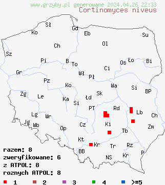 znaleziska Cortinomyces niveus na terenie Polski