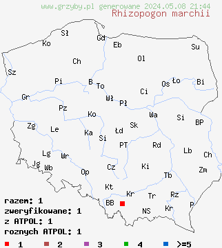 znaleziska Rhizopogon marchii na terenie Polski