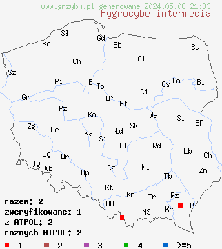 znaleziska Hygrocybe intermedia (wilgotnica nielepka) na terenie Polski