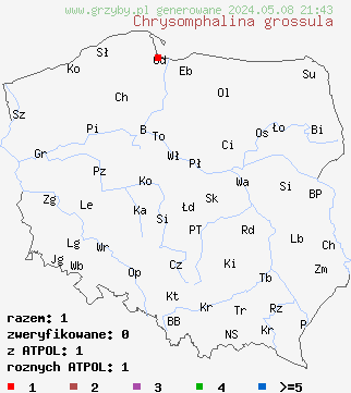 znaleziska Chrysomphalina grossula (pępnica drobna) na terenie Polski