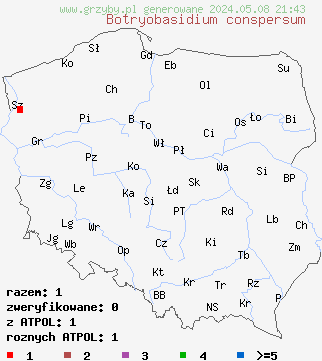 znaleziska Botryobasidium conspersum (pajęczynowiec niepozorny) na terenie Polski