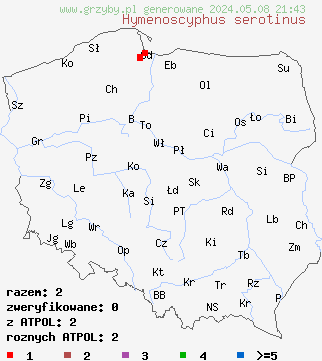 znaleziska Hymenoscyphus serotinus na terenie Polski