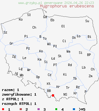 znaleziska Hygrophorus erubescens na terenie Polski
