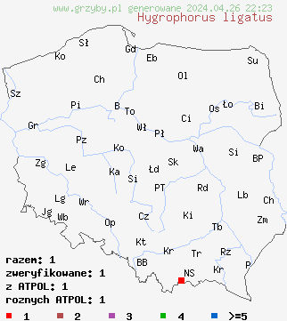 znaleziska Hygrophorus ligatus na terenie Polski