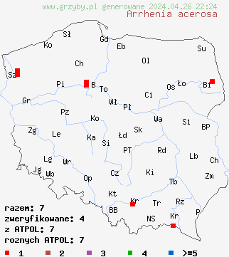 znaleziska Arrhenia acerosa na terenie Polski