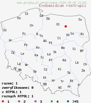 znaleziska Exobasidium rostrupii (płaskosz żurawiny) na terenie Polski