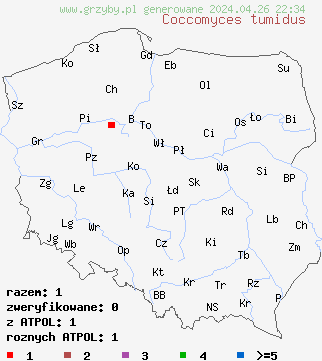 znaleziska Coccomyces tumidus na terenie Polski