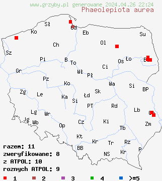 znaleziska Phaeolepiota aurea na terenie Polski