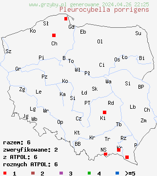 znaleziska Pleurocybella porrigens na terenie Polski