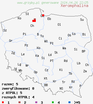 znaleziska Xeromphalina na terenie Polski
